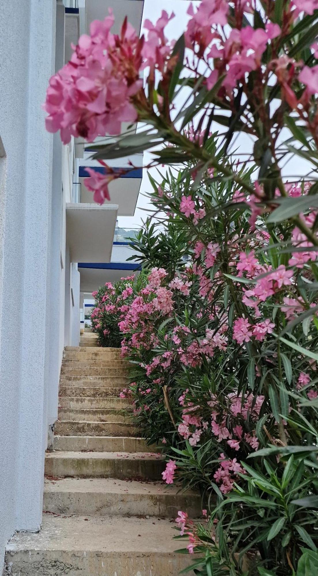 Elisos Studio Apartment Vlorë Екстериор снимка